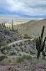 PICTURES/Heather's First Arizona Adventures/t_20250404_160029.jpg